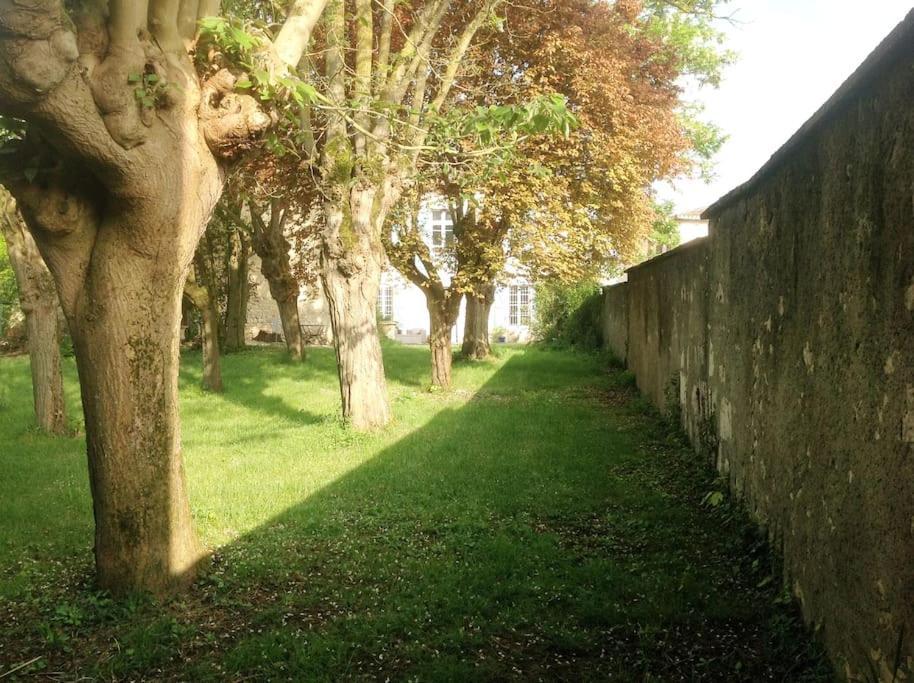 Ancien Presbytere Au Coeur Du Village Mauvezin  Exterior photo